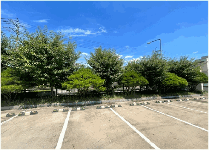 제시외수목㉥(관상수-반송,벚나무 등)