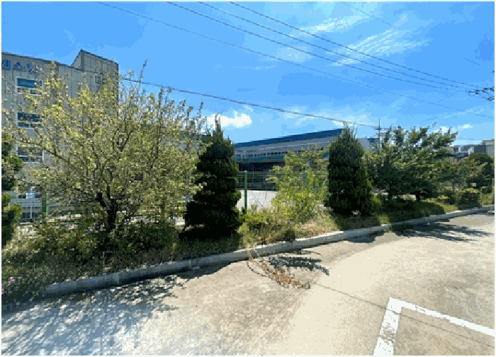 제시외수목㉥(관상수-가이스가향나무,무궁화,영산홍 등)