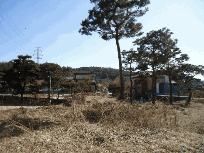 주변 상황