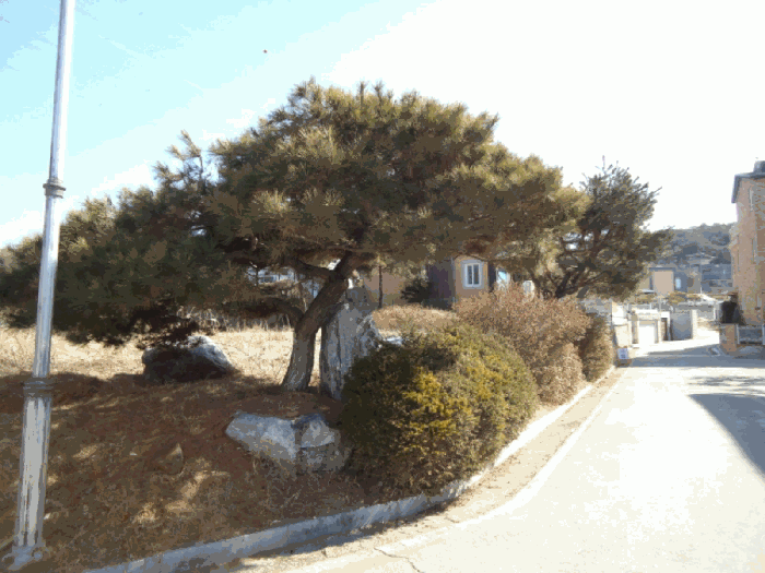 본건 중 1번, 8번 상황