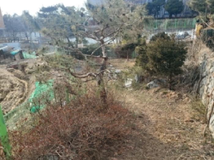 목록 3. 전경