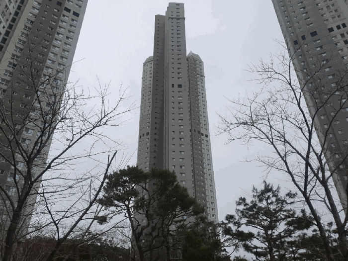 본건 소재 건물