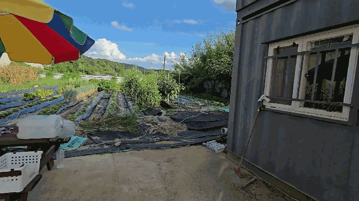 기호 7 토지 전경