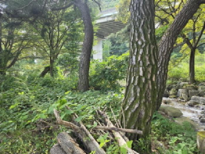 본건 4 전경