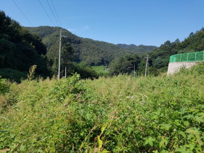 목록8 전경