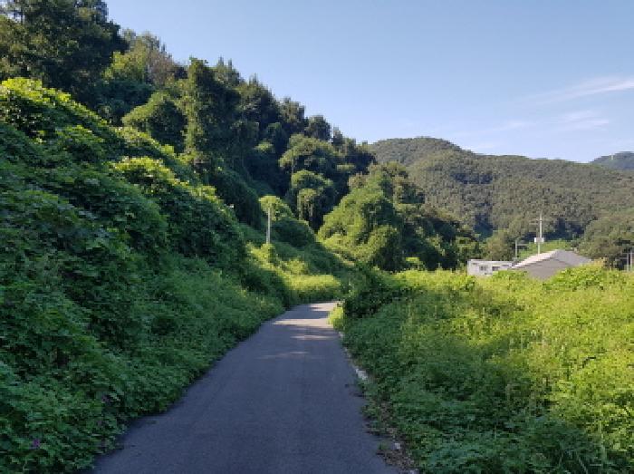 목록11 전경(2)