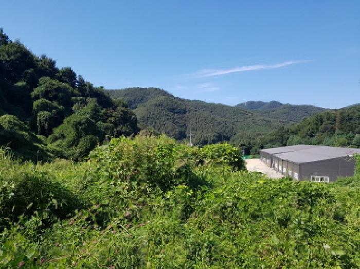 목록12 전경(1)