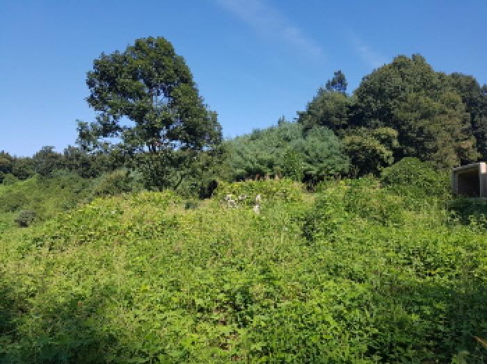 목록12 전경(2)