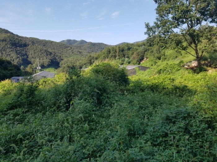 목록12 전경(3)