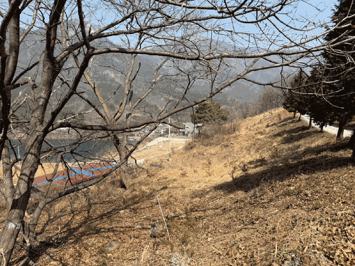 기호(3) 토지 전경