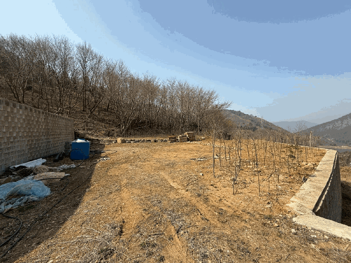 기호(8) 토지 전경