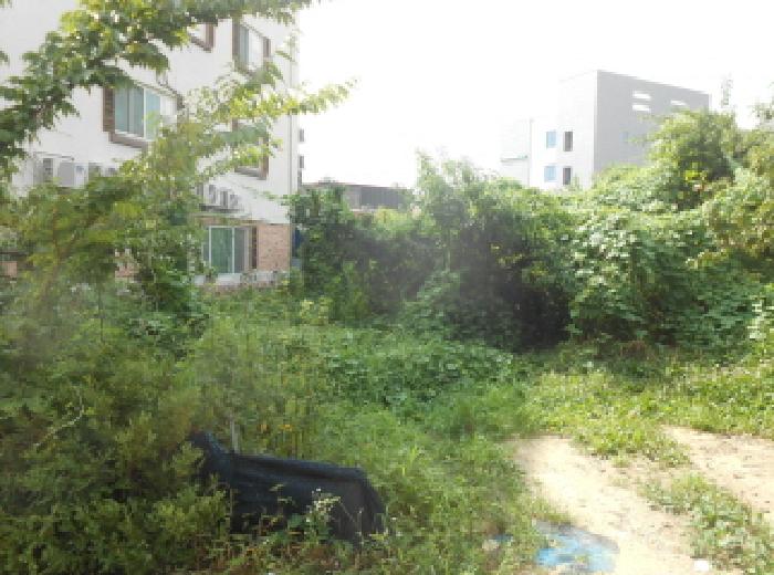 전경