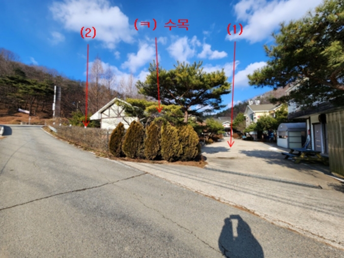 기호(1,2) 및 제시외수목(ㅋ) 전경