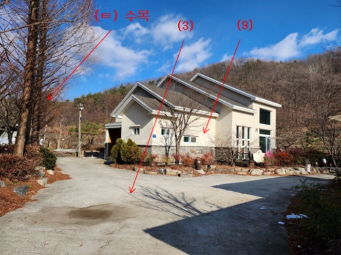 기호(3,9) 및 제시외수목(ㅌ) 전경 - 본건 남서측에서 촬영