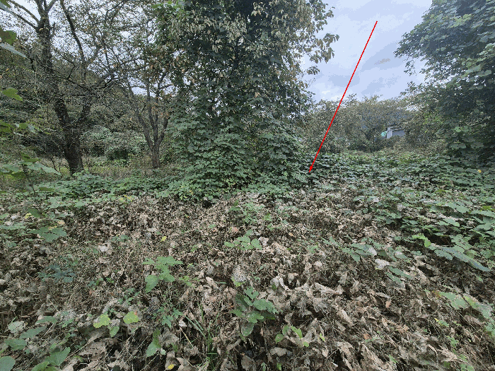 본건 일련번호(4) 전경