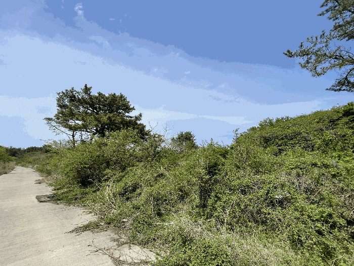 본건 전경
(촬영위치 : 본건 남서측)