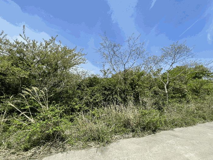 본건 전경
(촬영위치 : 본건 서측)