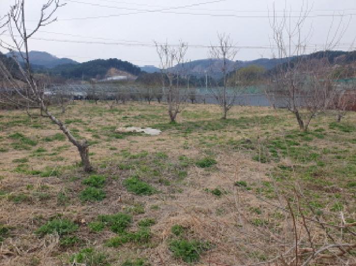 전경