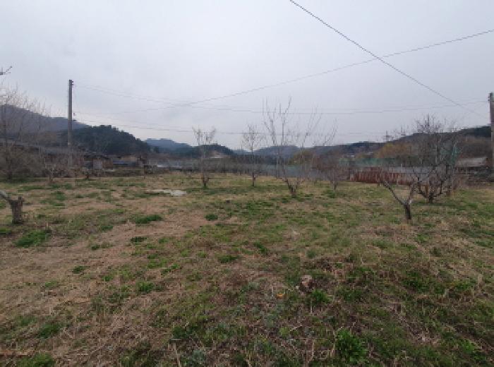 전경