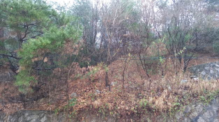 목록5 토지(임야)