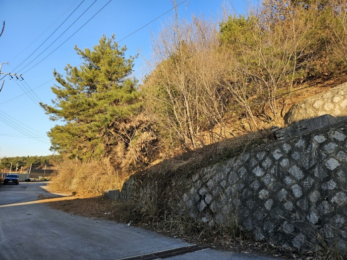 본건 전경(기호5)