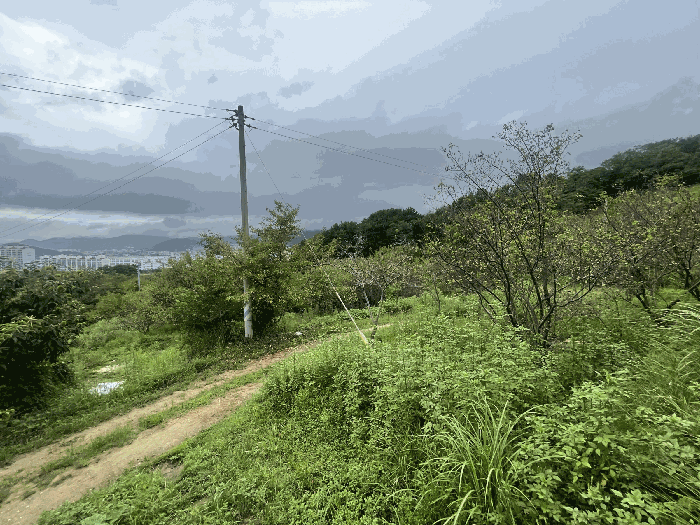 기호 1) 전경