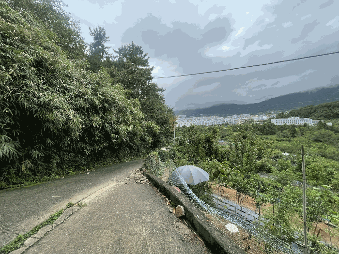 인근환경