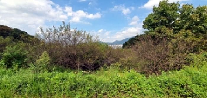 본건 정면 전경