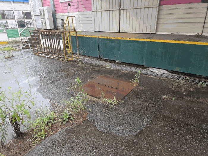 제시외관정(⑤)