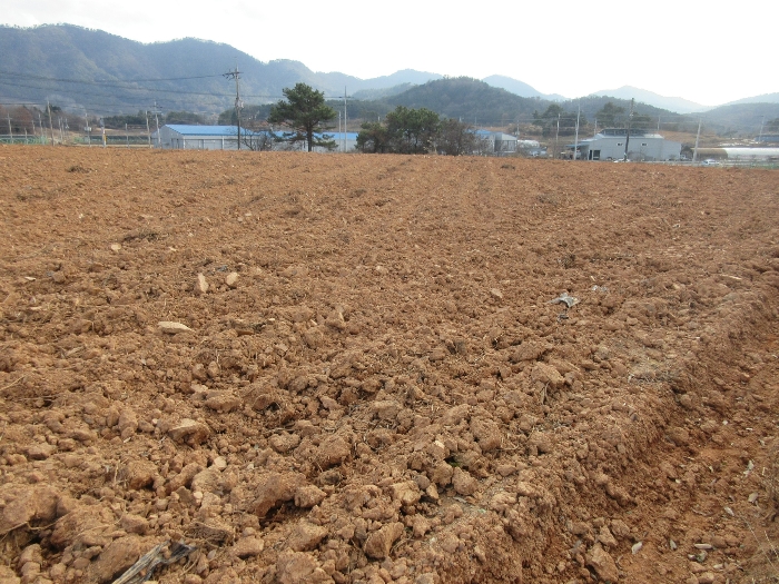 [본건 : 북서측]