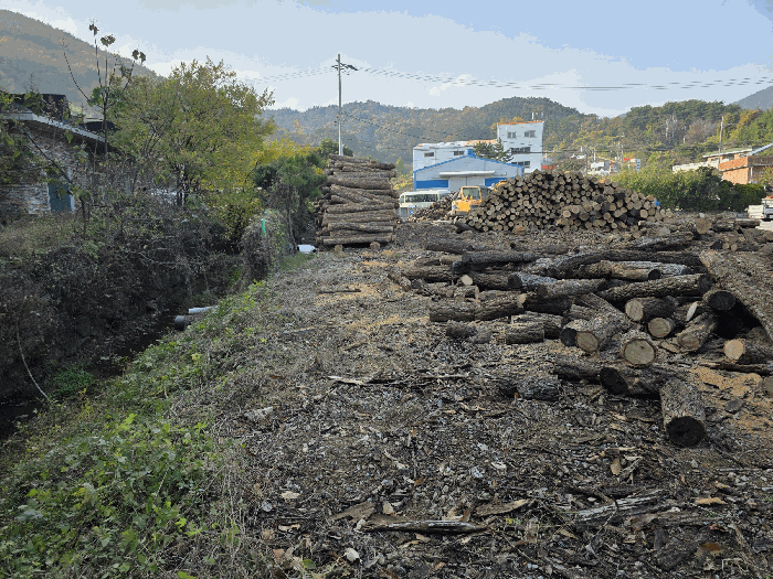 기호(2) 전경 및 주위