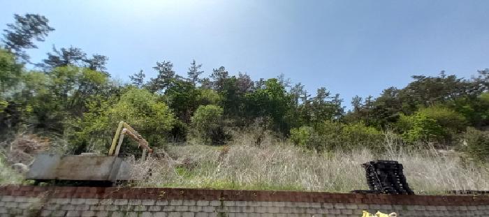 목록2. 임야 및 목록7. 임야 전경