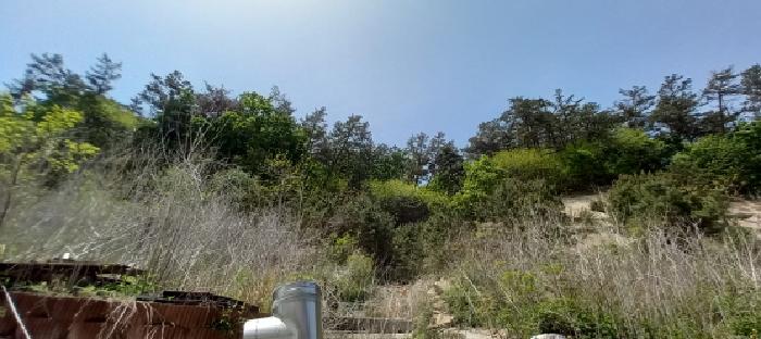 목록2. 임야 및 목록7. 임야 전경