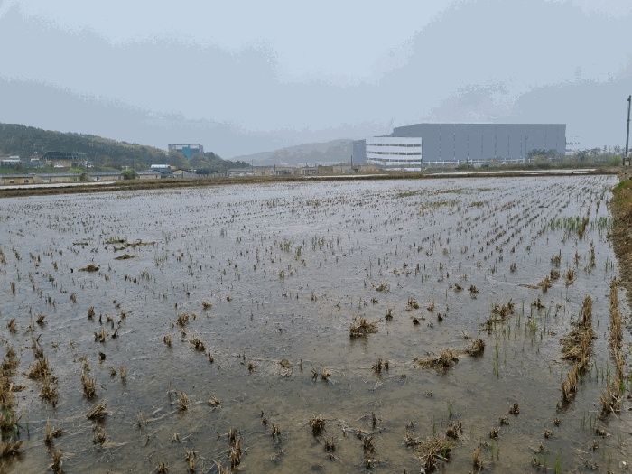 [본건 전경]
