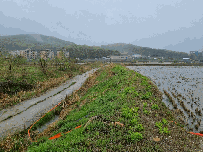 [주변 전경]