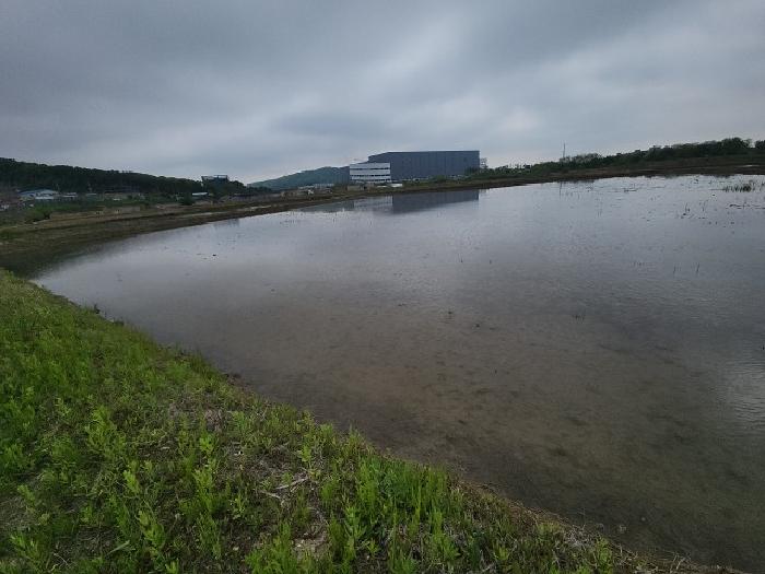 본건 부동산 전경