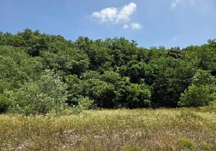 표시목록 2번 창고용지