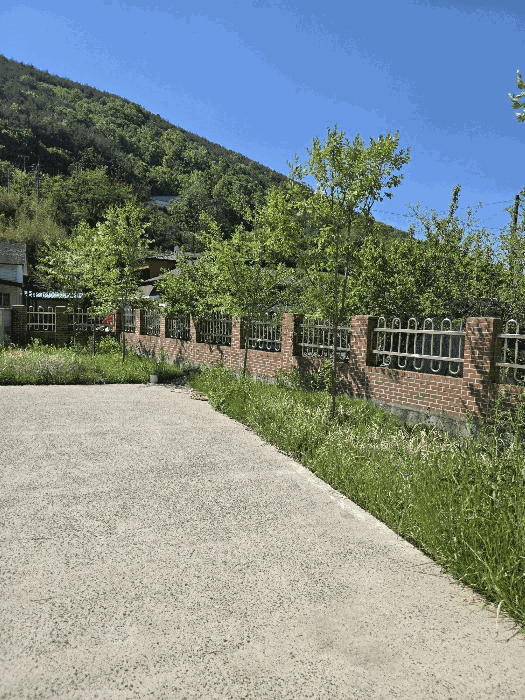 일련번호(7) 지상의 수목등