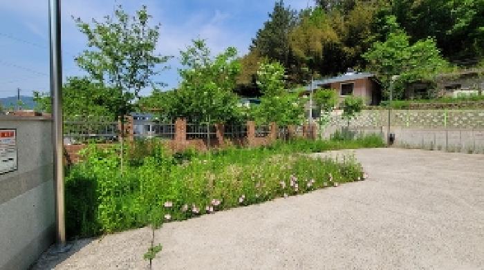 제시외(과)수목(수종불상)