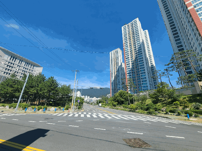 본건 및 주변환경