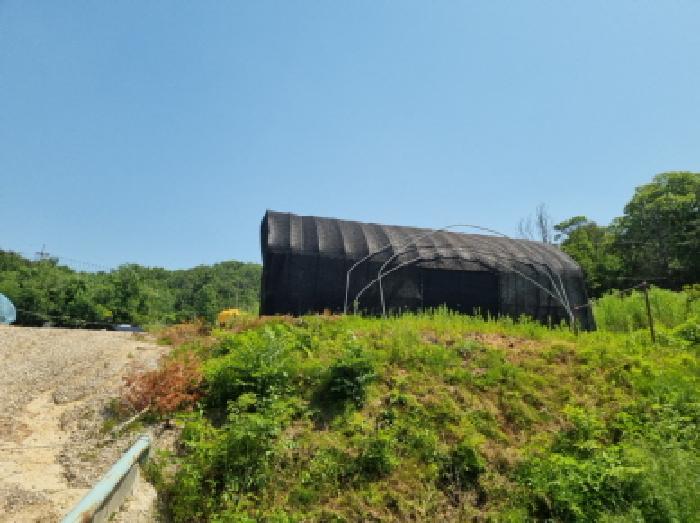 본건 전경(비닐하우스 1)