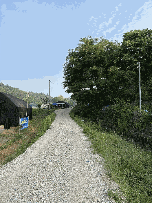 본건 전경(4)