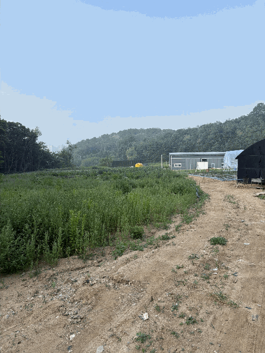 본건 전경(1)
