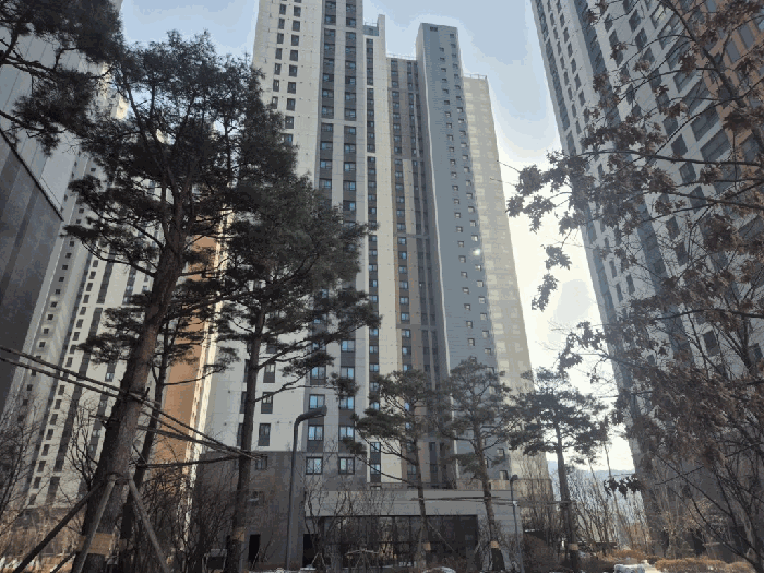 본건 및 주위전경