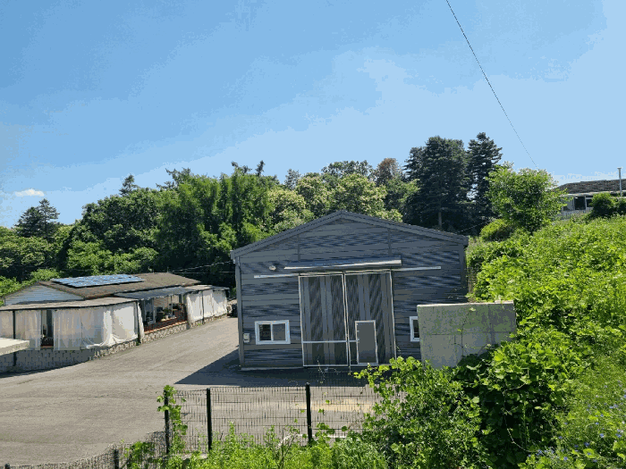 본건(기호1,3,9) 북서측에서 촬영 - 지월리 265번지 외