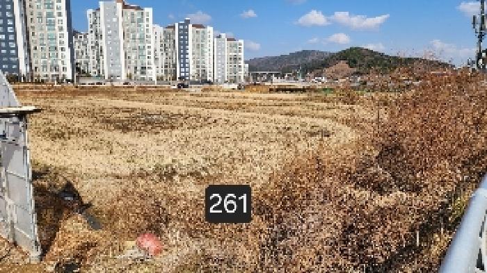 본건 전경