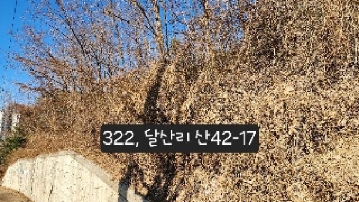 달산리 산42-17(위 장소는 사진상 펜스 윗쪽 뒷편에 위치하고 있음)