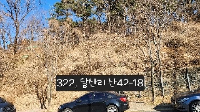 달산리 산42-18(위 장소는 사진상 펜스 윗쪽 뒷편에 위치하고 있음)