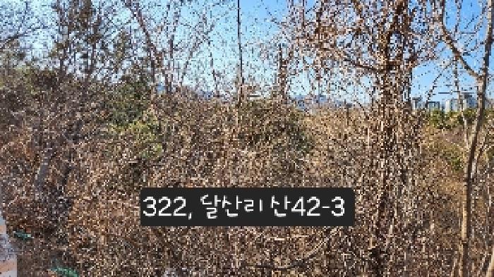 달산리 산42-3(목원정 입구쪽에서 촬영하였음)