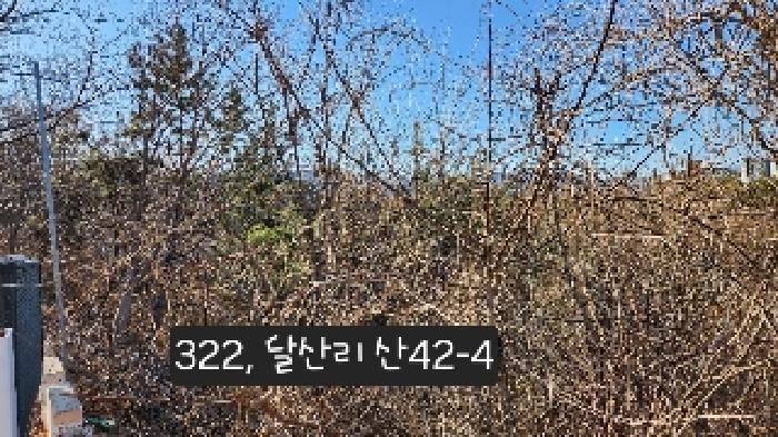 달산리 산42-4(목원정 입구쪽에서 촬영하였음)